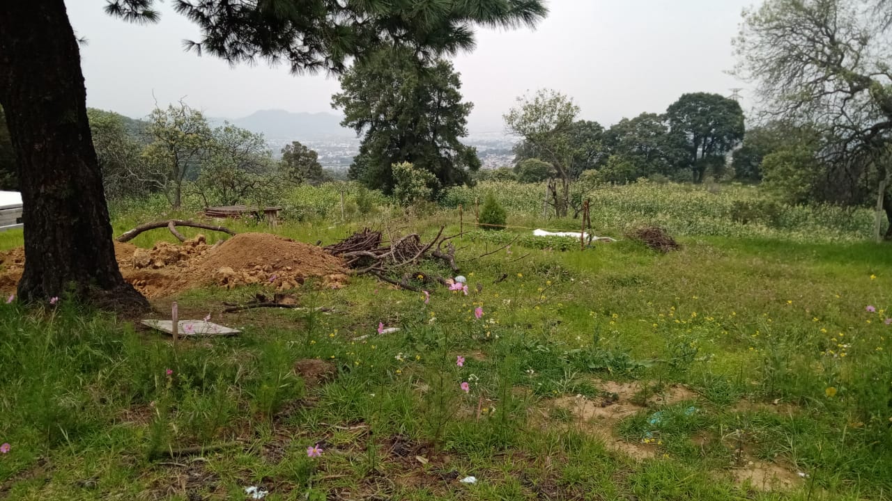 Baño de Terreno en venta - Santa Cecilia Tepetlapa Xochimilco, Ciu…