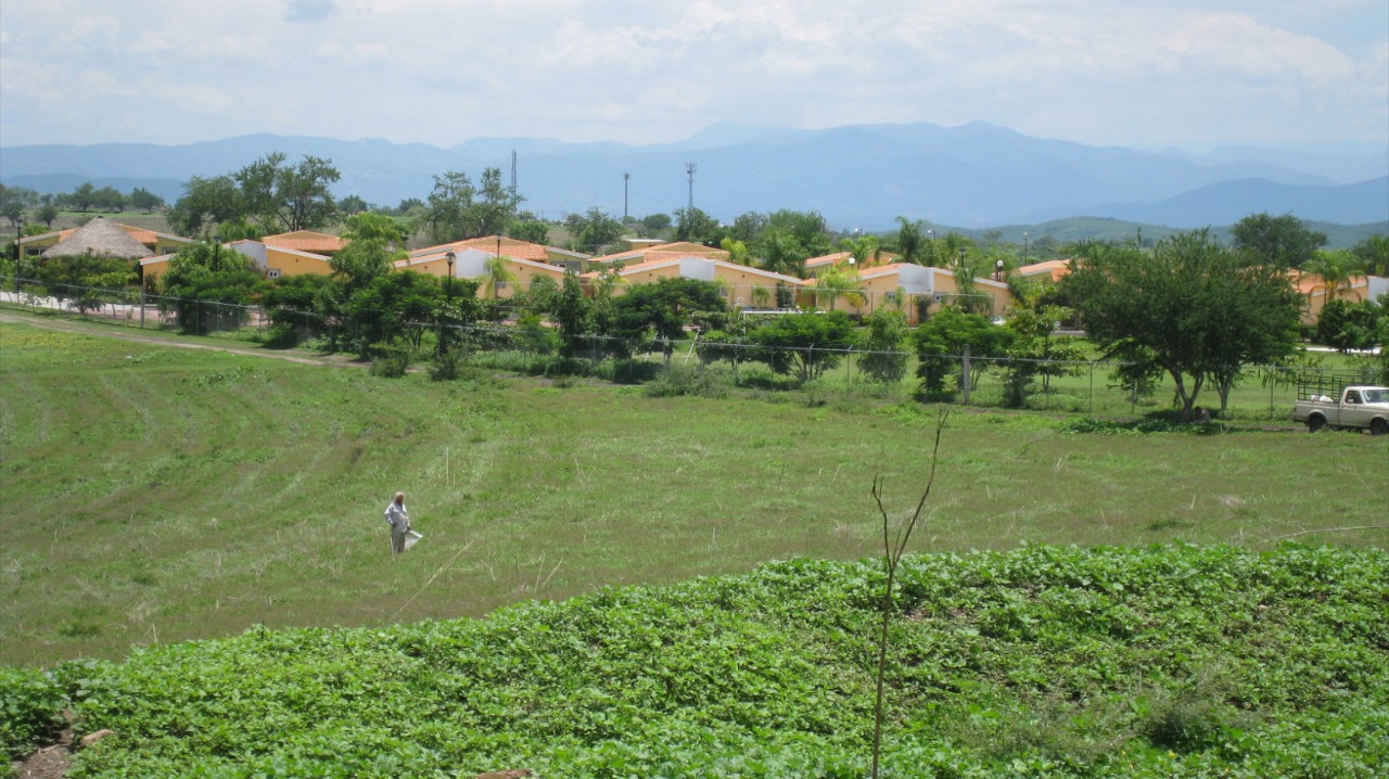 Sala de Terreno en venta - Circunvalación, Jojutla Morelos