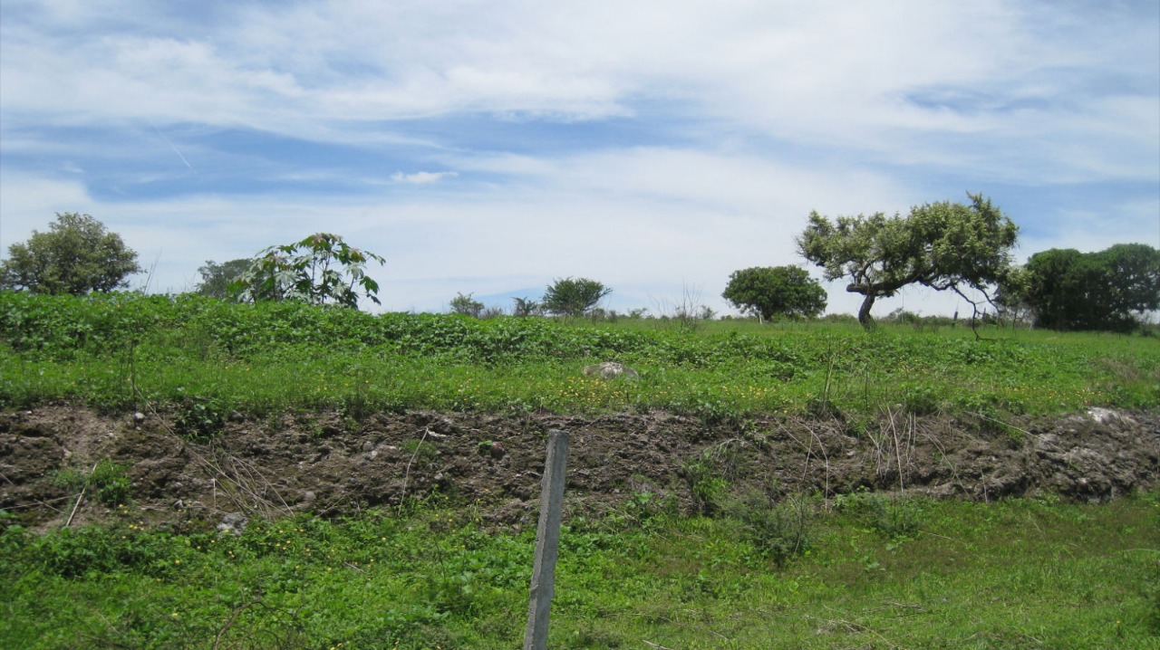 Cocina de Terreno en venta - Circunvalación, Jojutla Morelos