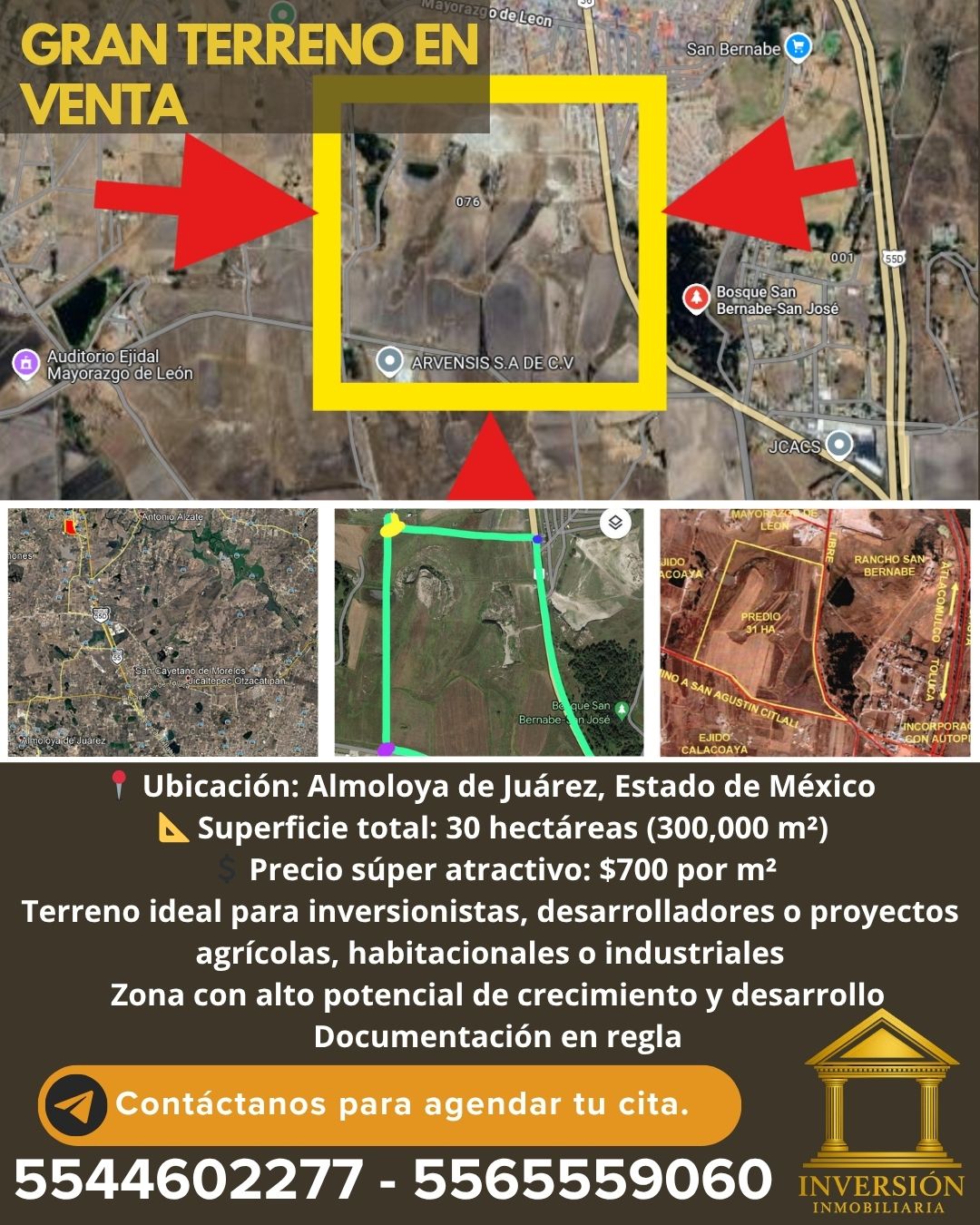 Terreno en venta en Mayorazgo de León (Estación Río México), Almoloya de Juárez…