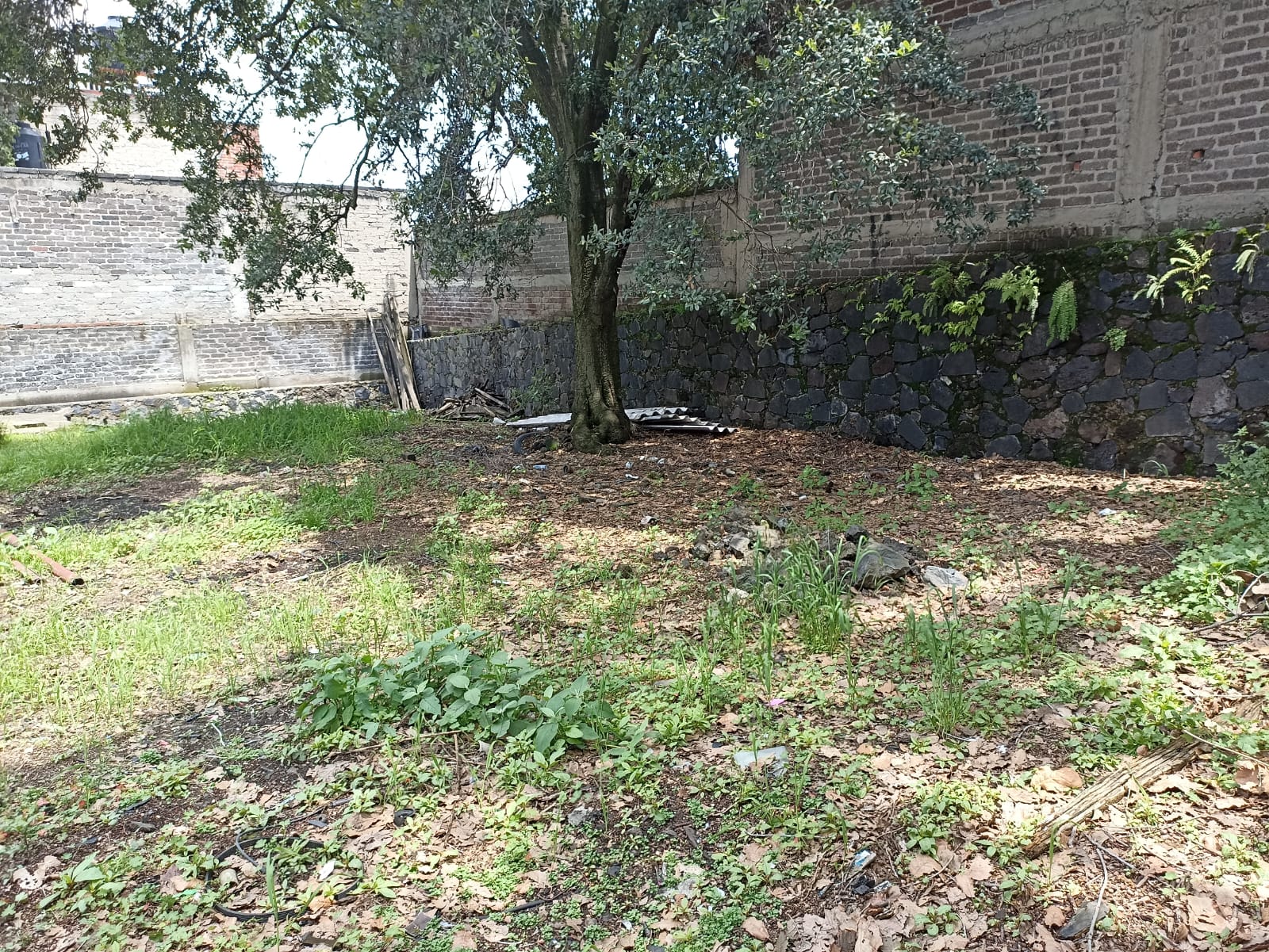 Baño de Terreno en venta - CALLE BECAL, COL. H. DE PADIERNA. TLALP…
